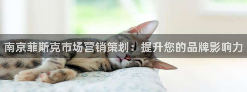 必赢8833扑鱼