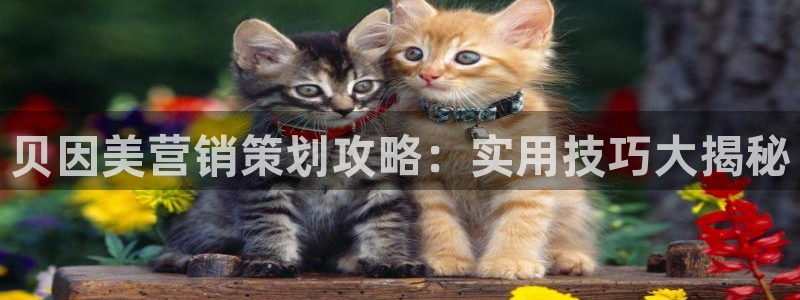 必赢官网入口下载