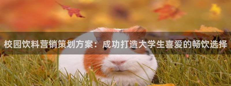 必赢棋盘app下载官网