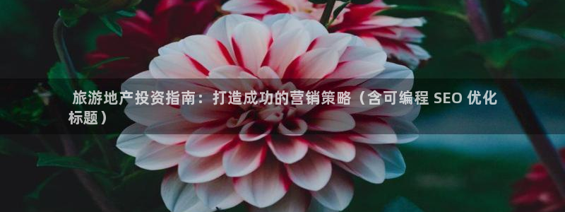 必赢app官方网站