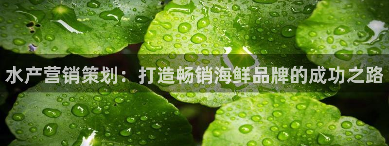9965必赢游戏网址
