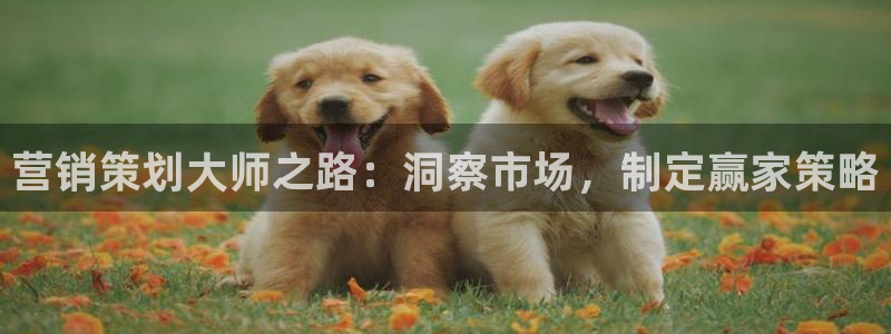 必赢516net怎么进