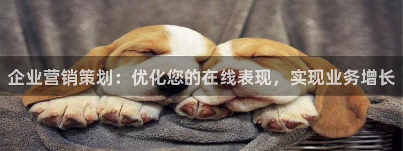 必赢官网入口下载app