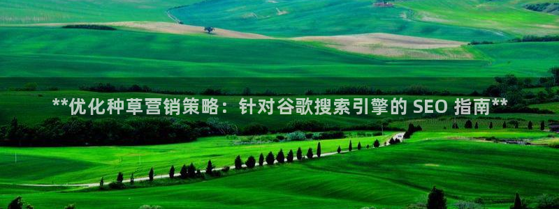 必赢网站
