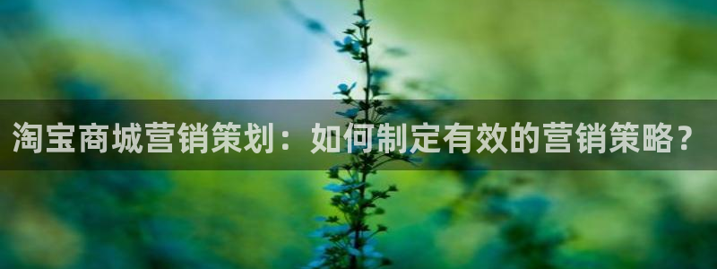 必赢平台网站多少