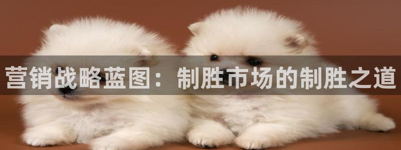 9965必赢游戏app