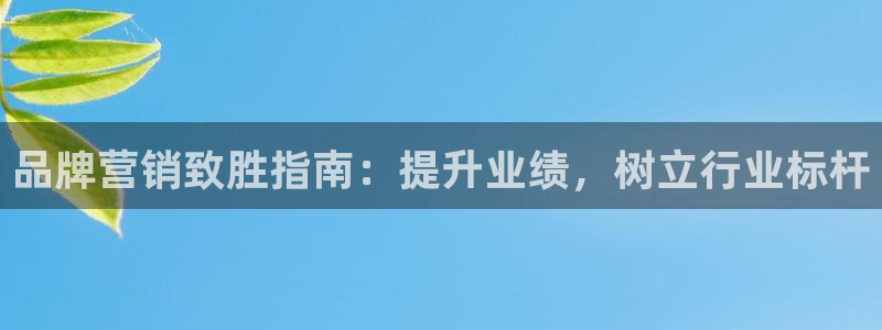 必赢客官方