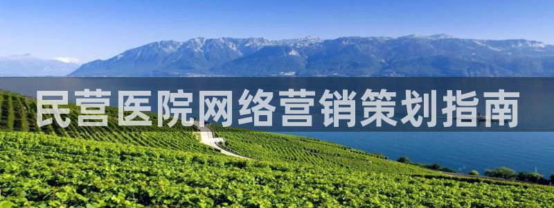 必赢3003网官