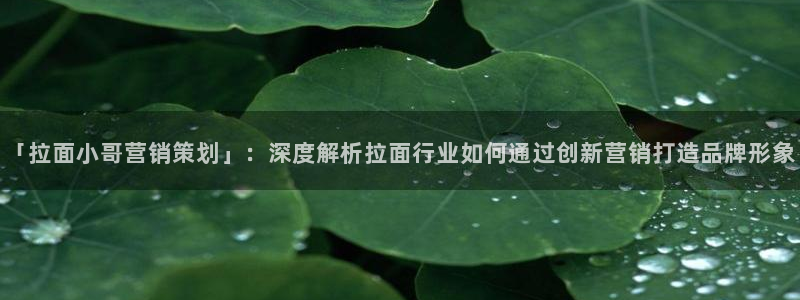 必赢集团网站