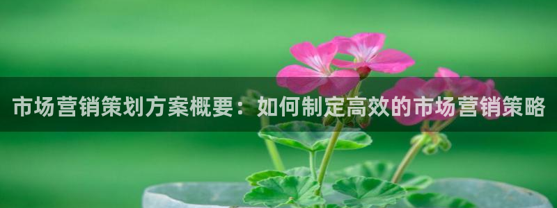 必赢app客户端下载官网手机版