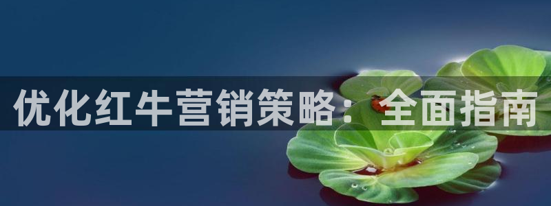 必赢平台怎么样可靠吗