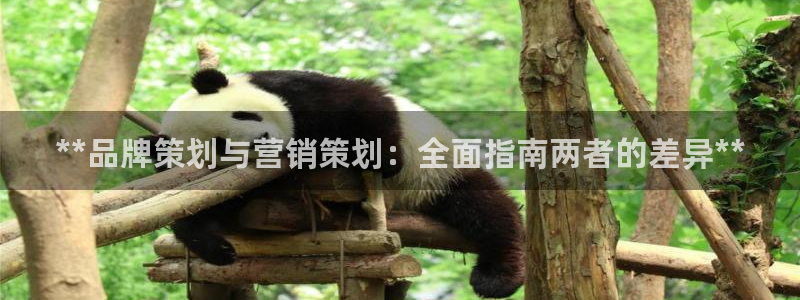 必赢旧网站