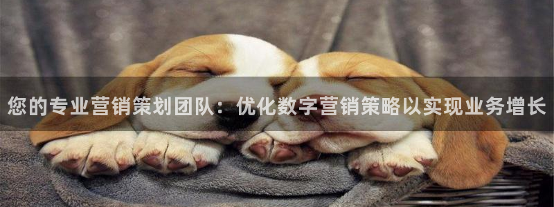 必赢手机app下载 最新版