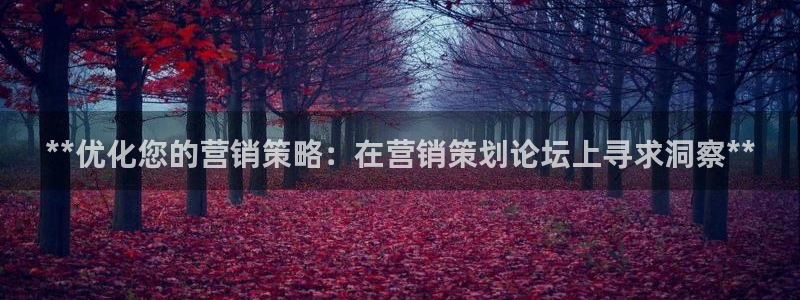 必赢国际437官网版