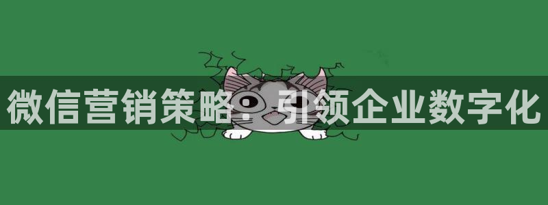 必赢下载