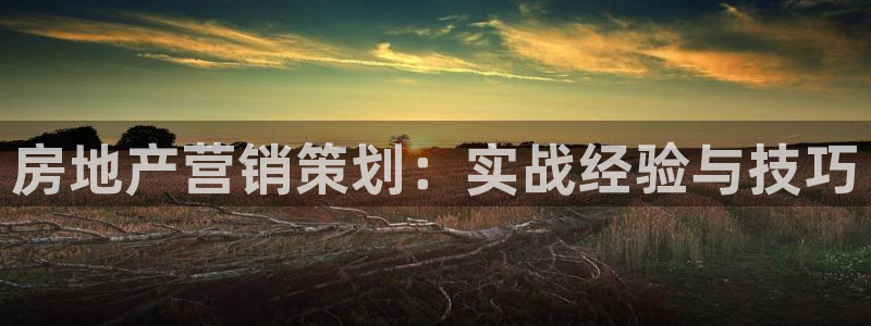 必赢官网入口下载安装