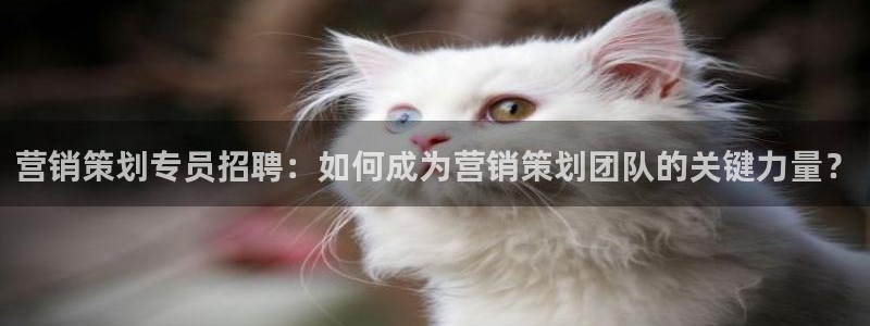 必赢app安卓版下载