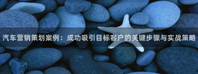 必赢下载安卓版