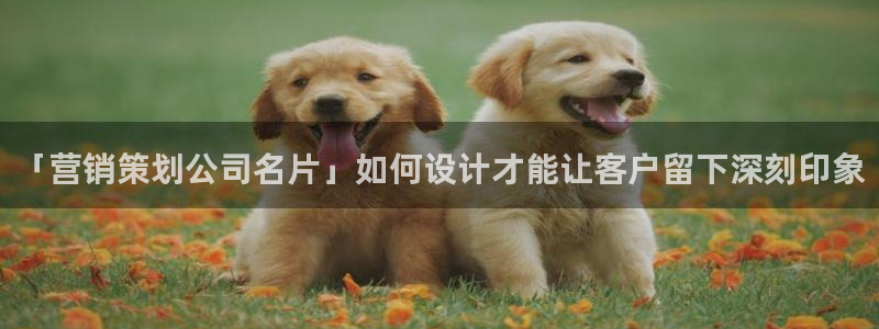 必赢棋盘9965.0版本