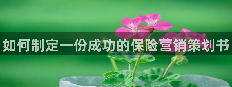 必赢官网网址多少号