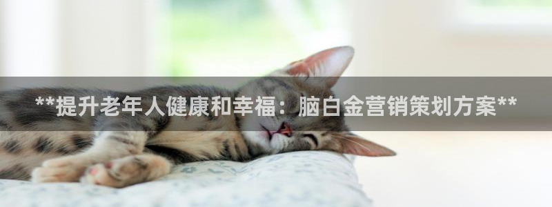 必赢平台网站多少