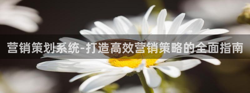 必赢国际的网站多少