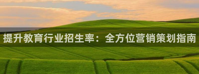 9965必赢游戏特色