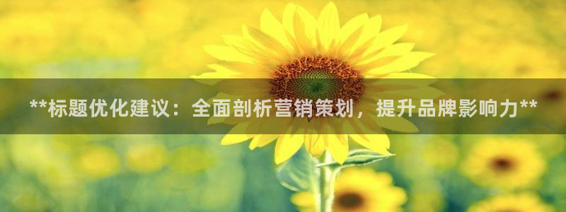 必赢网站进去