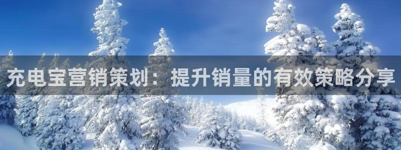 必赢平台网站多少