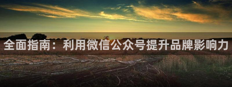 必赢最新