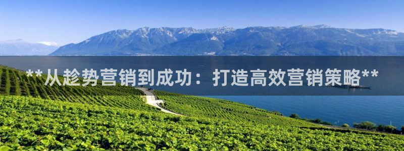 必赢官网app下载
