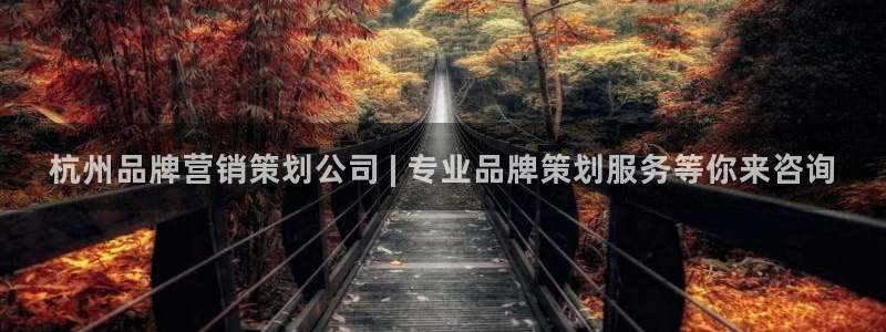 73882必赢app下载