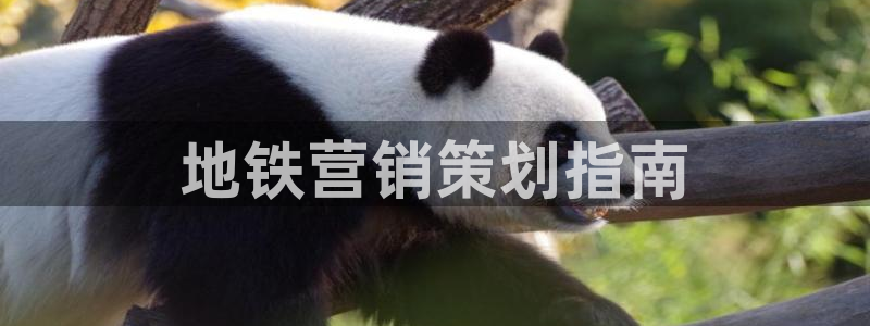 必赢手机app下载最新版安卓苹果