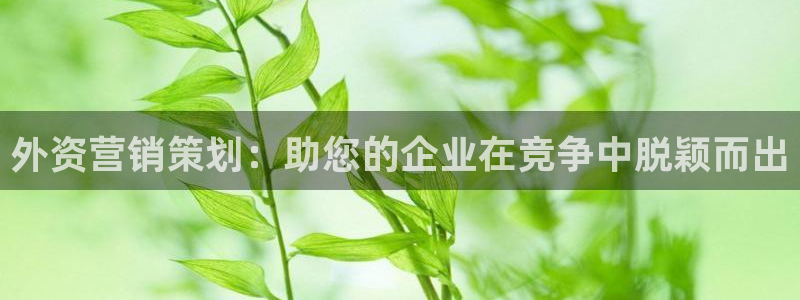 必赢网址官网