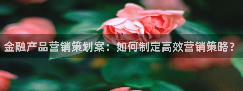 必赢棋盘官网版