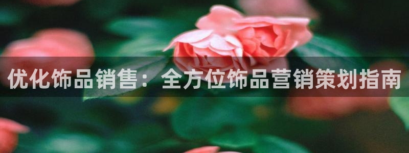必赢net.95