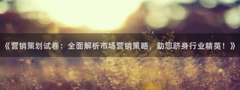 必赢线上网址是什么