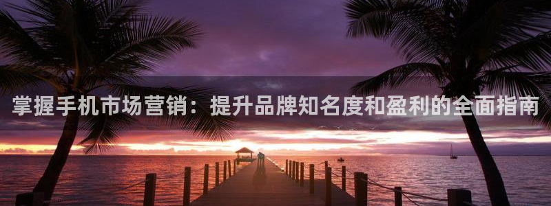 必赢手机app下载