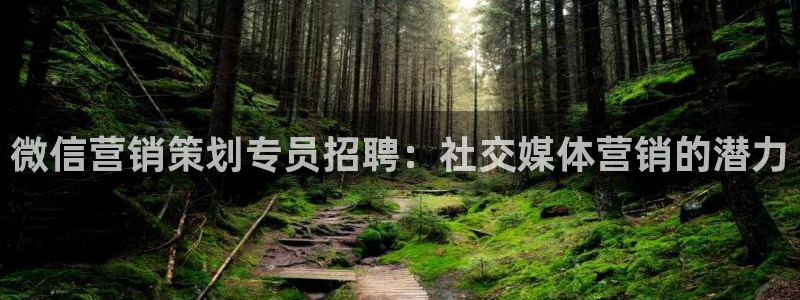 必赢官网