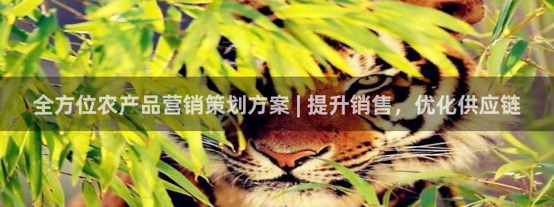 必赢3003am