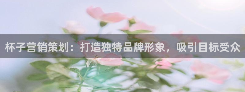 必赢科技北京有限公司