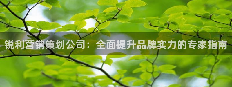 必赢是真的吗