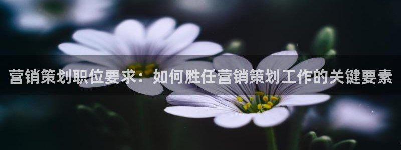 必赢平台网