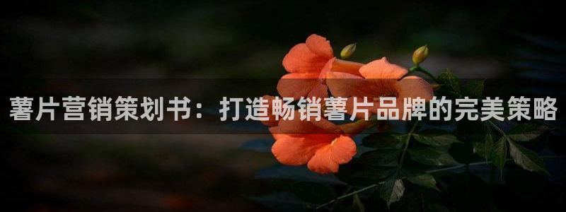 必赢下载安卓版官网