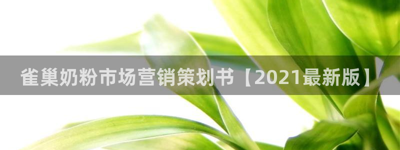 必赢国际437