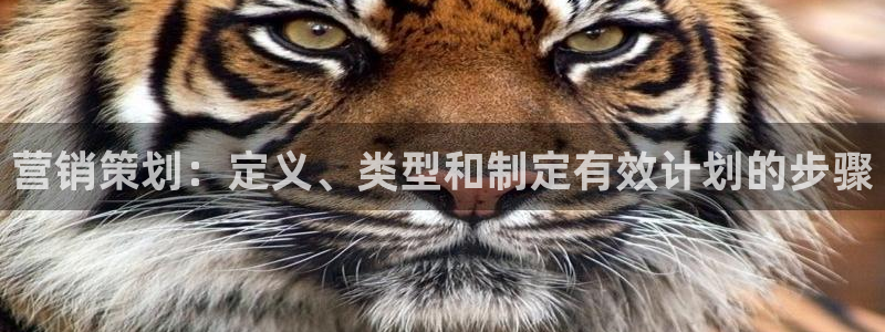 必赢565net官网网站
