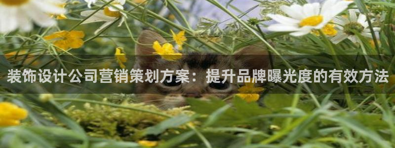 必赢下载安卓版下载