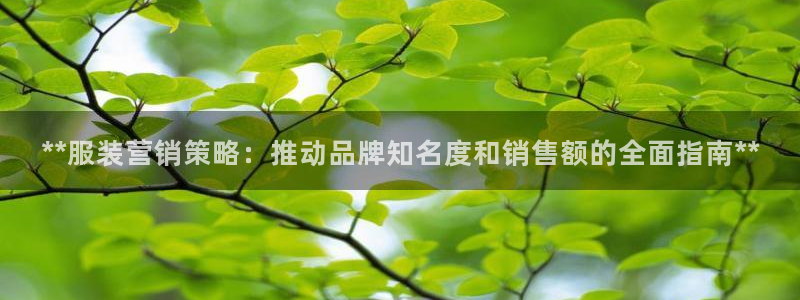 必赢国际技巧
