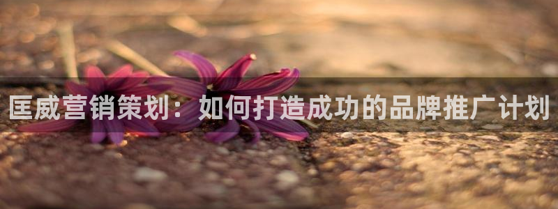 必赢app官方：匡威营销策划：