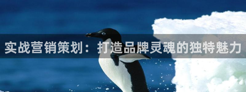 必赢棋盘9965.0版本